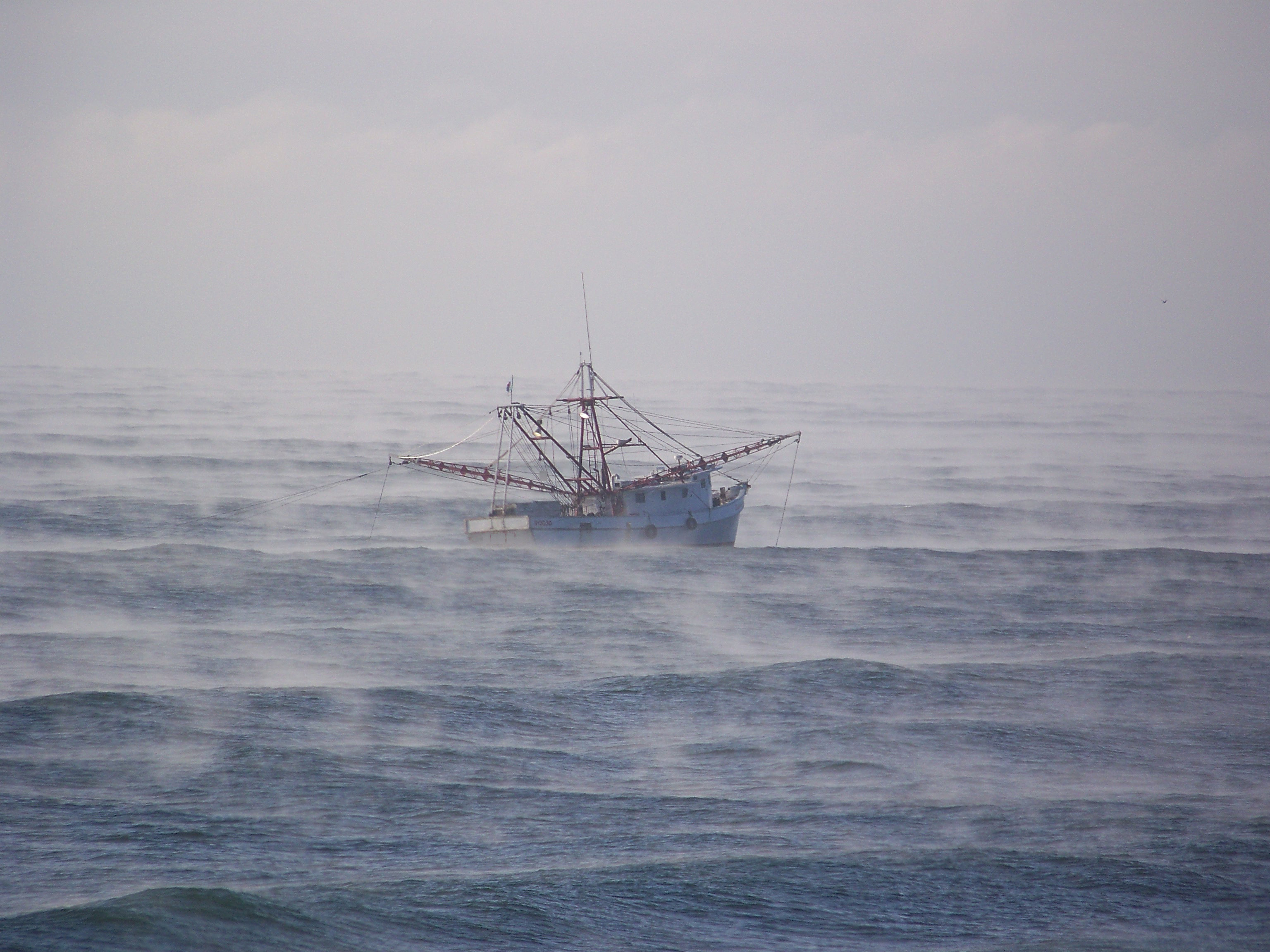 Shrimp Boat