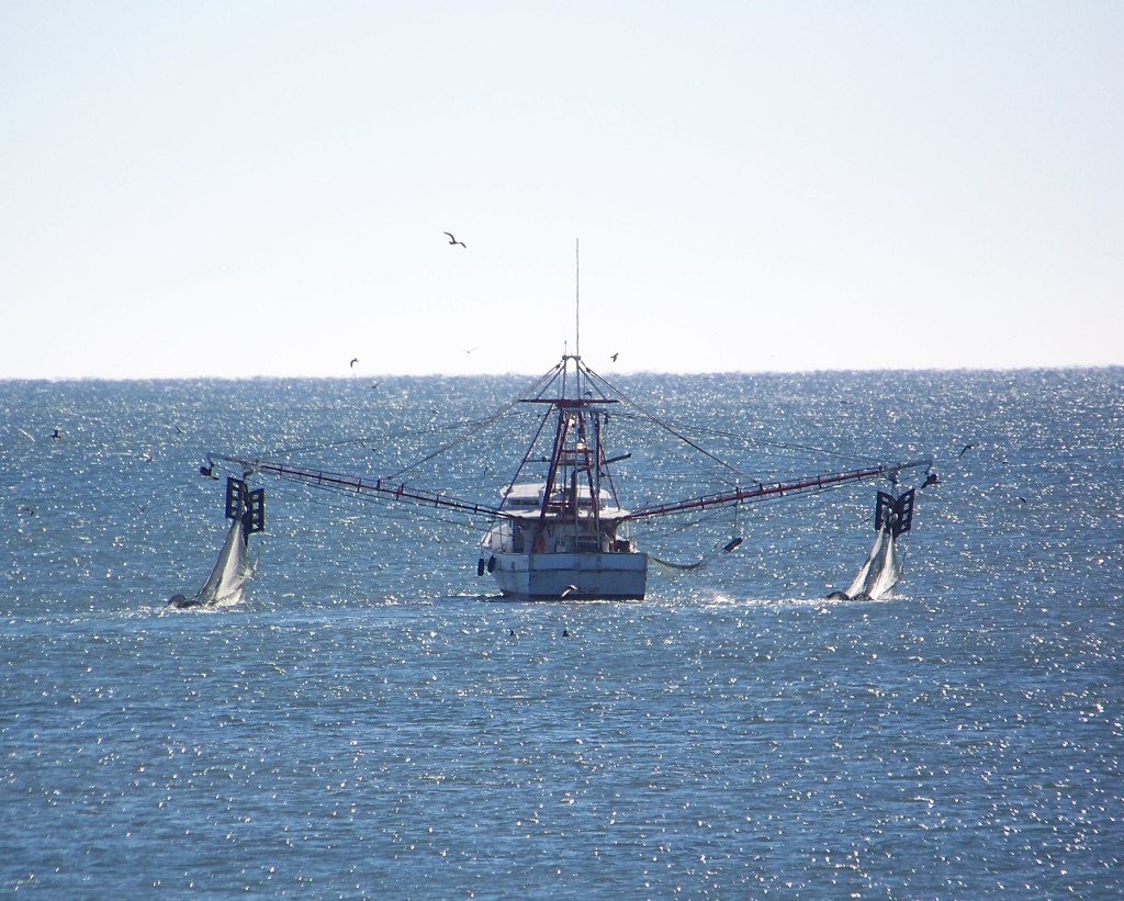 Shrimp Boat 2